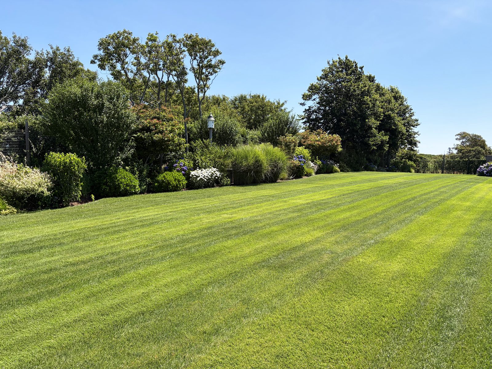 Sod Installation — Nantucket landscaping