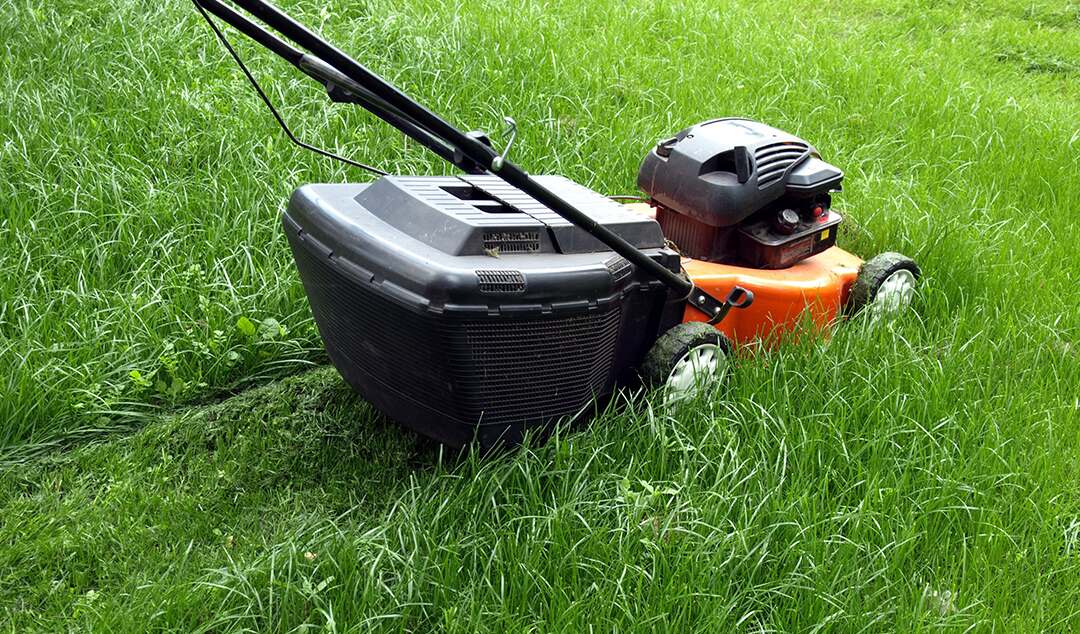 Lawn Care & Maintenance on Nantucket